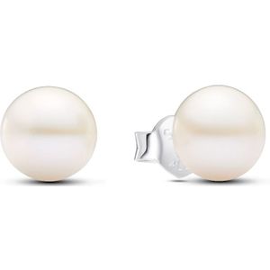 Pandora Oorbellen - Sterling silver Treated freshwater cultured pearl in silver