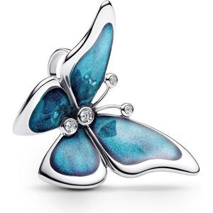 Pandora - Vlinder - Bedel