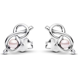 Oorbellen Dames Pandora 293761C01 Zilverkleurig