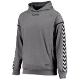 Poly hoodie Hummel hmlAUTHENTIC Charge