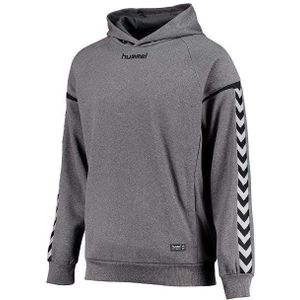 Hummel Hoody Authentic Charge Poly 33403-2001