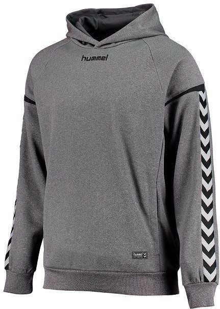 Poly hoodie Hummel hmlAUTHENTIC Charge