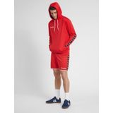 Hummel - hmlAUTHENTIC POLY HOODIE - Hoodie - Polyester