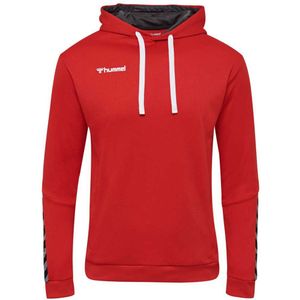 Hummel - hmlAUTHENTIC POLY HOODIE - Hoodie - Polyester