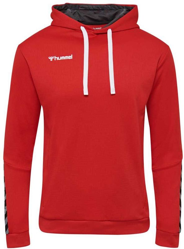 Hummel - hmlAUTHENTIC POLY HOODIE - Hoodie - Polyester