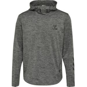Hoodie Hummel hmllaston