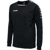 hummel - AUTHENTIC TRAINING - Sweatshirt - Polyester - Zwart
