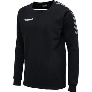 hummel - AUTHENTIC TRAINING - Sweatshirt - Polyester - Zwart