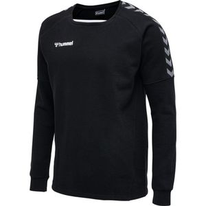 hummel - AUTHENTIC TRAINING - Sweatshirt - Polyester - Zwart