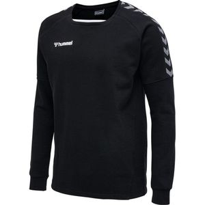 hummel - AUTHENTIC TRAINING - Sweatshirt - Polyester - Zwart