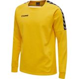 Hummel - hmlAUTHENTIC TRAINING - Sweatshirt