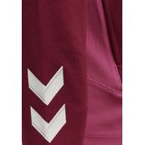 Sportsweatvest - Lead - Gevoerde Capuchon - Slanke Pasvorm - Lange Mouw - Color-Blocking