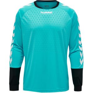 Hummel - ESSENTIAL GK JERSEY - Keeperstrui - Zwart - 100% Polyester, Gewatteerde Elleboogbescherming