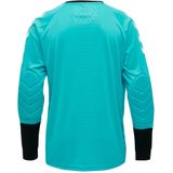 Hummel - ESSENTIAL GK JERSEY - Keeperstrui - Zwart - 100% Polyester, Gewatteerde Elleboogbescherming