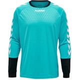 Hummel - ESSENTIAL GK JERSEY - Keeperstrui - Zwart - 100% Polyester, Gewatteerde Elleboogbescherming