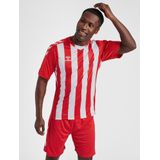 Hummel - Hmlcore XK Striped Jersey S/S - Sporttop - True Red/White