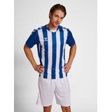 Hummel Core Xk Striped T-shirt Met Korte Mouwen Blauw S Man