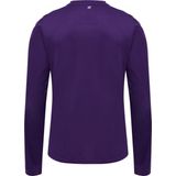 Hummel Trikot Langarm Hmlcore Xk Poly Jersey L S Acai