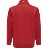 Kinder sweatshirt Hummel hmlCORE XK