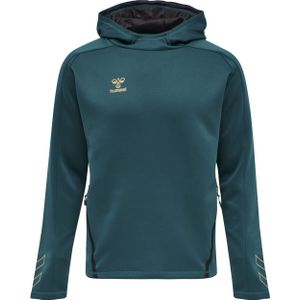 Hummel Cima XK Hoodie Heren - Sporttruien - blauw - Mannen