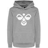 Hummel - Cuatro - Hoodie - Grijs Gevlekt - Hummel