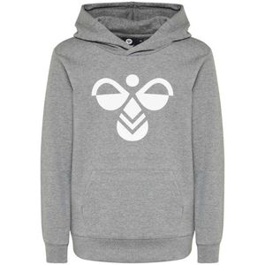 Hummel - Cuatro - Hoodie - Grijs Gevlekt - Hummel