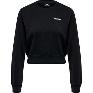 Hummel - hmlLGC SHAI SHORT - Sweatshirt