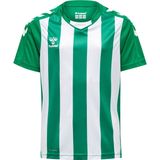 Hummel - Core XK - Functioneel Shirt - Groen/Wit - V-hals - Kwartmouw