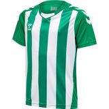 Hummel - Core XK - Functioneel Shirt - Groen/Wit - V-hals - Kwartmouw