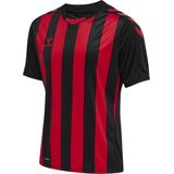 Hummel - Core Xk Striped - T-shirt - Unisex - Korte Mouwen