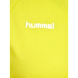 hummel® - HMLGO COTTON HOODIE - Hoodie - Groen - Katoen/Polyester