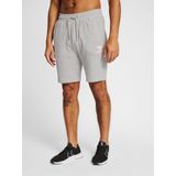 hummel Heren Shorts Hmlicons Regular Shorts