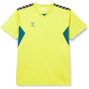 hummel Hmlauthentic Pl Jersey S/S T-shirt heren, Zwavel Spring/Blue Coral