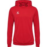 Hummel - Authentic Pl Hoodie - Polyester - Kids