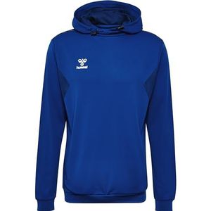 Hummel Authentic Pl Hoodie