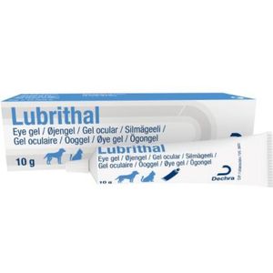 Handzeep - Gel - Compact Ontwerp - Gemakkelijk Schoon Te Maken