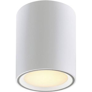 Fallon - Opbouwspot - Wit - Ingebouwde LED-module - Moodmaker-functie