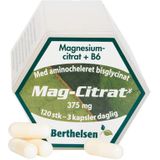 Berthelsen Naturprodukter - Mag-Citrat+B6 110 g 120 stk.