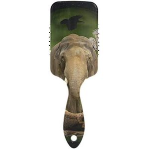 FANTAZIO Animal Planet Haarborstel voor Vrouwen Mannen Kids Beschadigde Krullend Golvend Frizzy Fijn Haar Massage Hersenen Acupoints