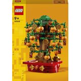 LEGO - Geldboom - Bouwset - Fantasierijk Speelgoed - Seizoensdecoratie