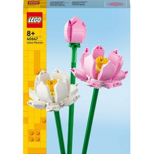 LEGO Iconic Lotusbloemen - Botanical Collection - 40647