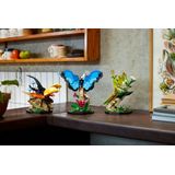 LEGO Ideas De Insectencollectie - 21342