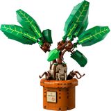 LEGO® Harry Potter™  Zaubertrankpflanze: Alraune 76433