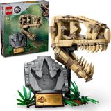 LEGO® Jurassic World™ 76964 Dinosaurier-Fossilien: T.-rex-Kopf