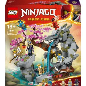 LEGO Ninjago 71819 Drachen-Stein-Tempel