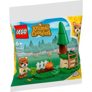 LEGO Animal Crossing Maple's pompoentuin - 30662