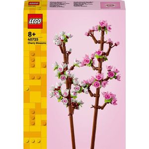 Kirschblüten