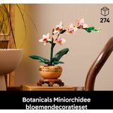 LEGO Botanicals 10343 Mini-Orchidee
