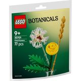 LEGO - Botanicals Veldbloemen - Bouwset - Multicolor - Kunststof