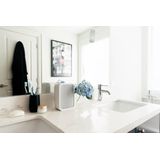 Bluesound PULSE Flex 2i Draadloze speaker voor Multiroom met vijf presets Wit